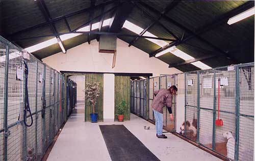 Boarding kennels store