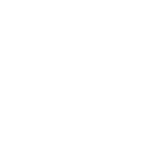 Pet Relocation Service Cwmcadno Air Road Transport